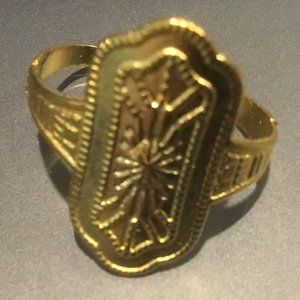 Pretty Design Ring Shield Shape-Storage Capsule Included!!